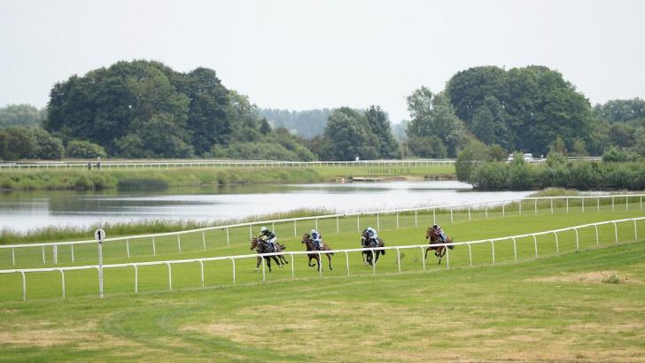 Ripon